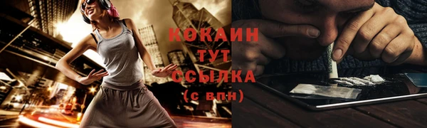 ГАЛЛЮЦИНОГЕННЫЕ ГРИБЫ Аркадак